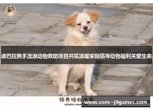 迪巴拉携手流浪动物救助项目共筑温暖家园倡导动物福利关爱生命 迪巴拉携手流浪动物救助项目共筑温暖家园倡导动物福利关爱生命